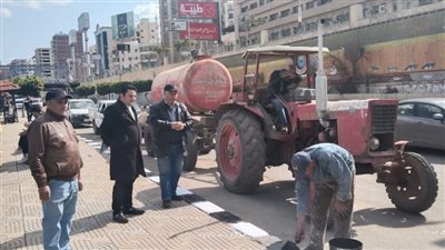 رفع 310 طن قمامة و45 طن اتربة من شوارع أحياء ومدينة المنصورة 