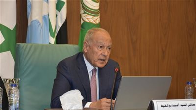 أبوالغيط يؤكد على أهمية دور البرلمانات العربية في نصرة القضية الفلسطينية