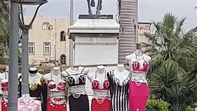 محافظة الإسكندرية عن واقعة 