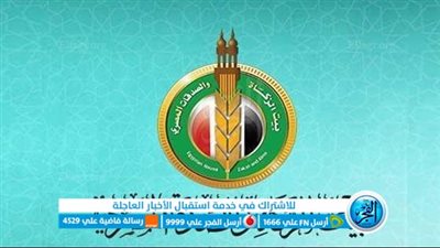 وظائف بيت الزكاة والصدقات المصري لعام 2023: شروط ورابط التقديم