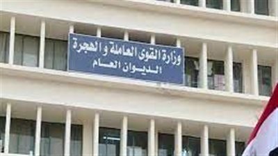 وزارة القوى العاملة تزف بشرى سارة للشباب