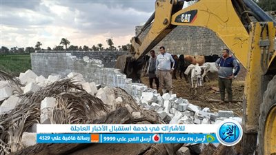 إزالة حالتي تعد بناء على الأراضي الزراعية بمركز إبشواي بالفيوم