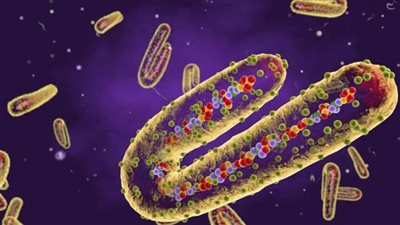 تعرف على تفاصيل ظهور فيروس 