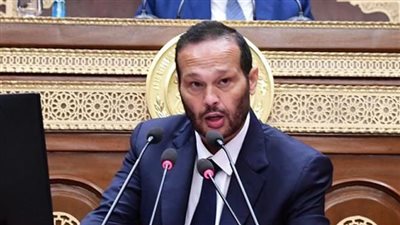 النائب محمد حلاوة: تعميق الصناعة ضرورة لجذب الاستثمارات وتقليل الفجوة الدولارية 