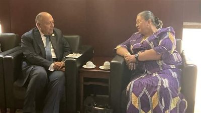 تفاصيل لقاء وزير الخارجية ومبعوثة سكرتير عام الأمم المتحدة الخاصة للقرن الإفريقي