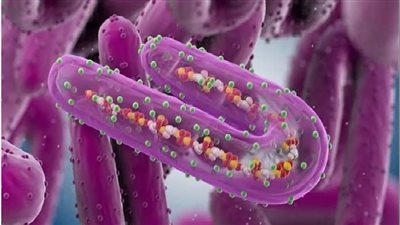 الصحة تجيب.. كيفية العلاج من فيروس ماربورج القاتل؟