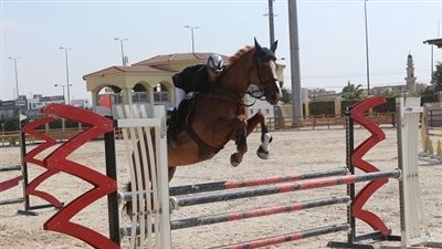 فرسان الهيئات الرياضية أثنوا على التنظيم الرائع للحلقة السابعة من بطولة الجمهورية للفروسبة