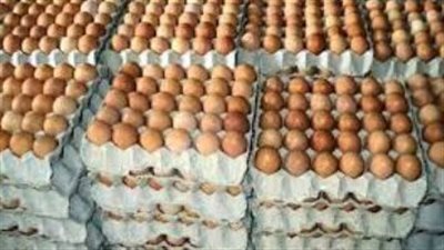 منتجي الدواجن: مصر لم تستورد بيضة واحدة منذ الثمانينيات (فيديو) 