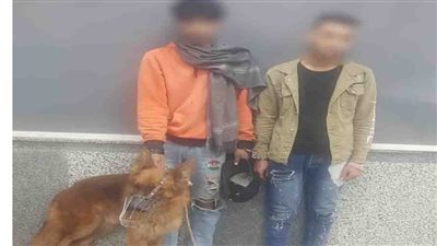 بواسطة كلب شرس.. ضبط المتهمين بالتعدي على شاب بالمرج