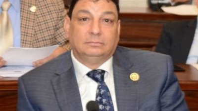 صناعة البرلمان: توجه الدولة لإنتاج سيارة كهربائية مصرية مكسب حقيقي للصناعة المحلية