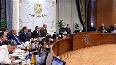 الحكومة توافق على تخصيص 5 أفدنة من أراضي الدولة ببورسعيد لوزارة الكهرباء