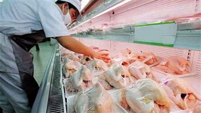 أول تعليق من اتحاد منتجي الدواجن على استيراد الدواجن المجمدة