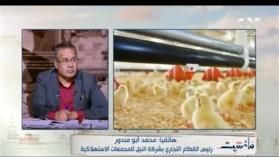 المجمعات الاستهلاكية: 65 جنيه سعر كيلو الدواجن المجمدة في كافة الفروع