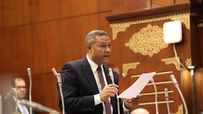 نائب بالشيوخ: ما شهدته سيناء معجزة بكل المقاييس