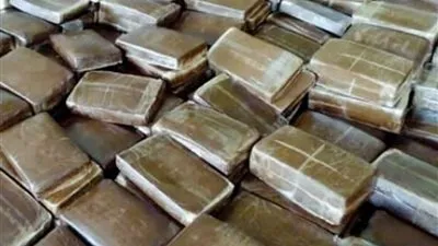 سقوط تاجر مخدرات بـ 