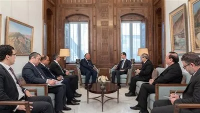 ما وراء زيارة وزير الخارجية المصرية إلى سوريا اليوم؟