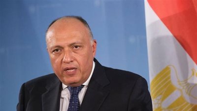 شكري: كل الخيارات مفتوحة في أزمة السد الإثيوبي.. وقدرات مصر لا نهائية