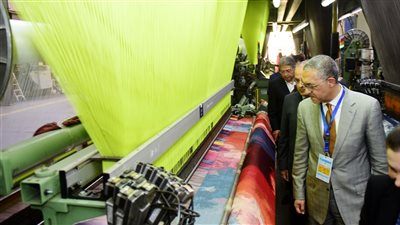  الهيئة العامة للاستثمار : جولات ترويجية خارجية لجذب الاستثمار بمشاركة قادة القطاع الخاص المصري