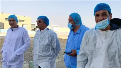 محمد شردي ينفرد بكشف تفاصيل المشروع القومي لإنتاج البيض الخالي من المسببات المرضية بالفيوم