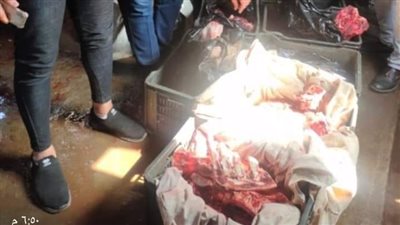 ضبط لحم حصان قبل بيعه للجمهور في الدقهلية