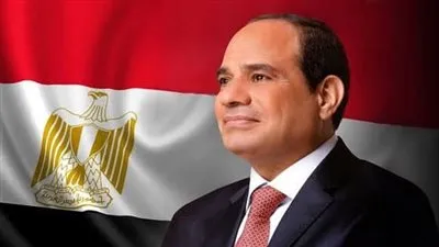 الرئيس السيسي يتفقد مكتبة 