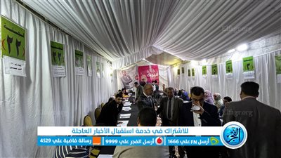 تأجيل انتخابات التجديد النصفي لـ 