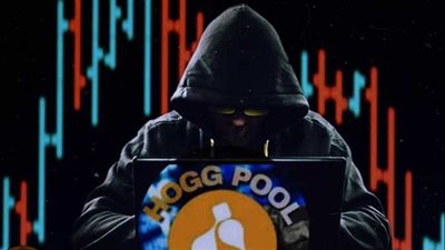 استشاري أمن معلومات: تطبيق 