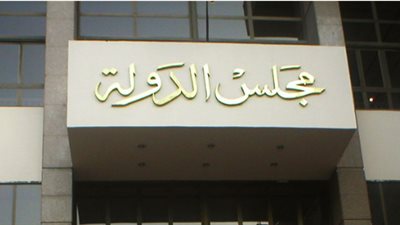 الحكم في دعاوى المحامين لوقف قرار التسجيل في منظومة الضريبة الإلكترونية 18 مارس