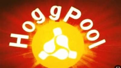 نصب على المصريين.. ما هي قصة تطبيق هوج بول Hoog pool؟