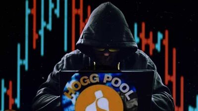 آخر تطورات تطبيق هوج بول الذي نصب على المواطنين