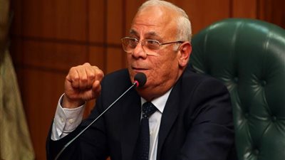 محافظ بورسعيد: لا وجود للعشم في العمل لبناء الدولة (فيديو)