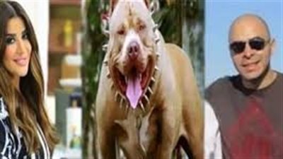 اليوم… الحكم على زوج مذيعة شهيرة في واقعة مصرع مدير بنك ضحية عقر كلب بيتبول 
