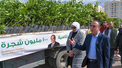 محافظ الإسكندرية: استلام 200 ألف شجرة لزراعتها