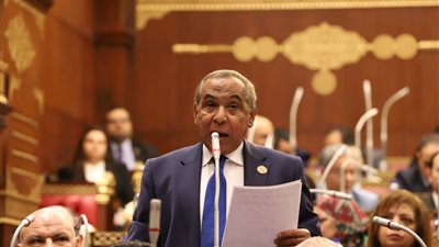 برلماني مهنئا الرئيس والقوات المسلحة بـ 