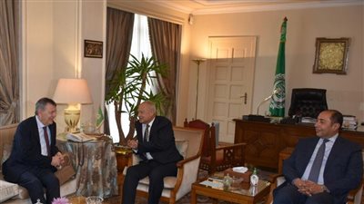 أبوالغيط يؤكد أهمية سد الفجوة التمويلية لـ 