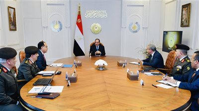 عاجل.. الرئيس السيسي يصدر توجيهًا جديدًا بشأن تحقيق الأمن الغذائي للمصريين 