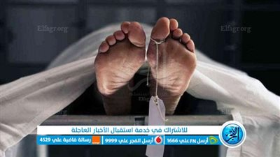 مقتل طفل بطلق ناري في الإسماعيلية 