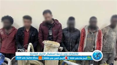 من بينهم 4 أجانب.. تفاصيل سقوط 6 متهمين بالتنقيب عن الآثار في عقار بالسيدة زينب 