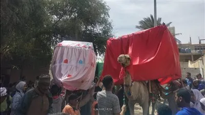 قصور الثقافة توثق جولة المحمل في احتفالات أهالي القصير بالنصف من شعبان