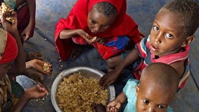 خبير: أزمات غذائية جديدة تضرب العالم الفترة المقبلة (فيديو)