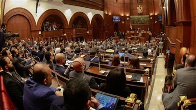 برلماني: مبادرة 