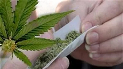 ضبط شخص بحوزته 40 بذرة لمخدر 