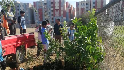 محافظ المنوفية يتابع تنفيذ أعمال المبادرة الرئاسية 100 مليون شجرة