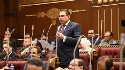 برلماني يطالب بجذب المزيد من الاستثمارات الصينية المباشرة للسوق المصري