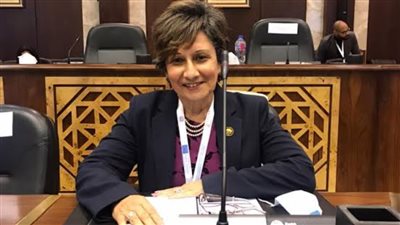 برلمانية: مبادرة 