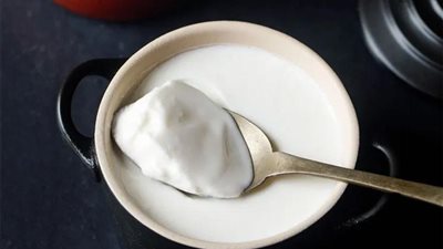 تصدرت الترند.. أسهل طريقة لعمل الزبادي البلدي في المنزل