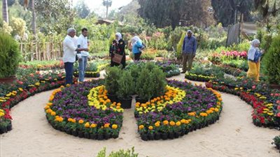 وزارة الري تفتتح معرض زهور الربيع بالقناطر الخيرية 