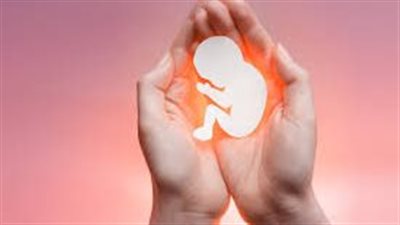 ولاية أمريكية تدرس فرض عقوبة الإعدام على من تجهض نفسها (تفاصيل)