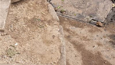 استجابة لما نشرته 