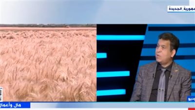 أستاذ تنمية مستدامة: مصر استخدمت التقنيات الحديثة لمضاعفة المساحة الزراعية